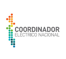 Coodinador eléctronico nacional